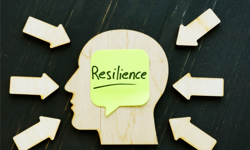 Building a Resilient Organization: Lessons from Crisis Management