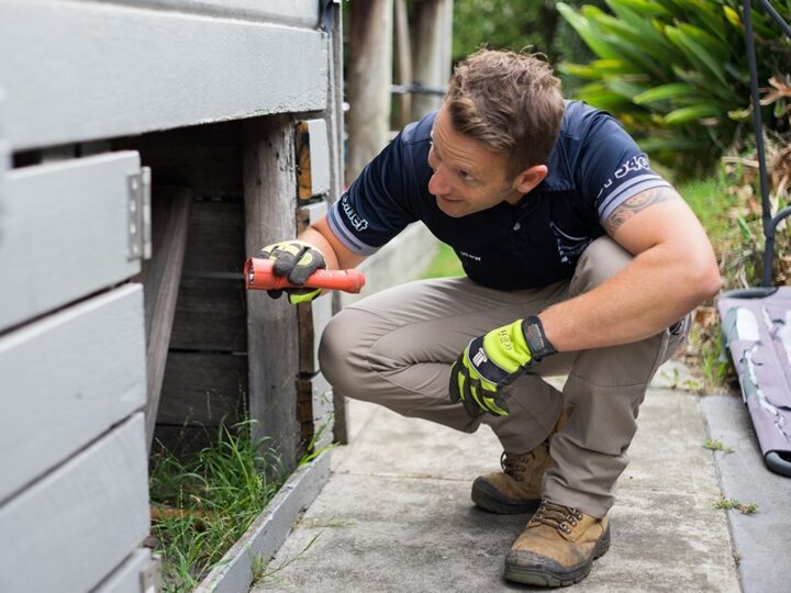 DIY vs. Professional building inspections – Which is the right choice for you?