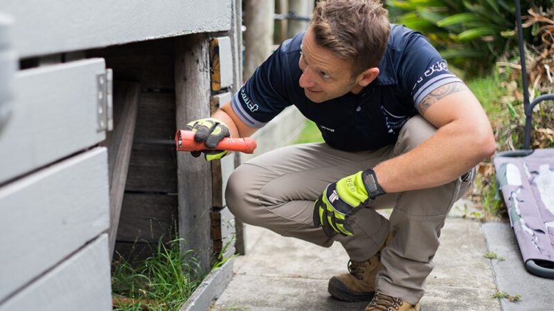 DIY vs. Professional building inspections – Which is the right choice for you?