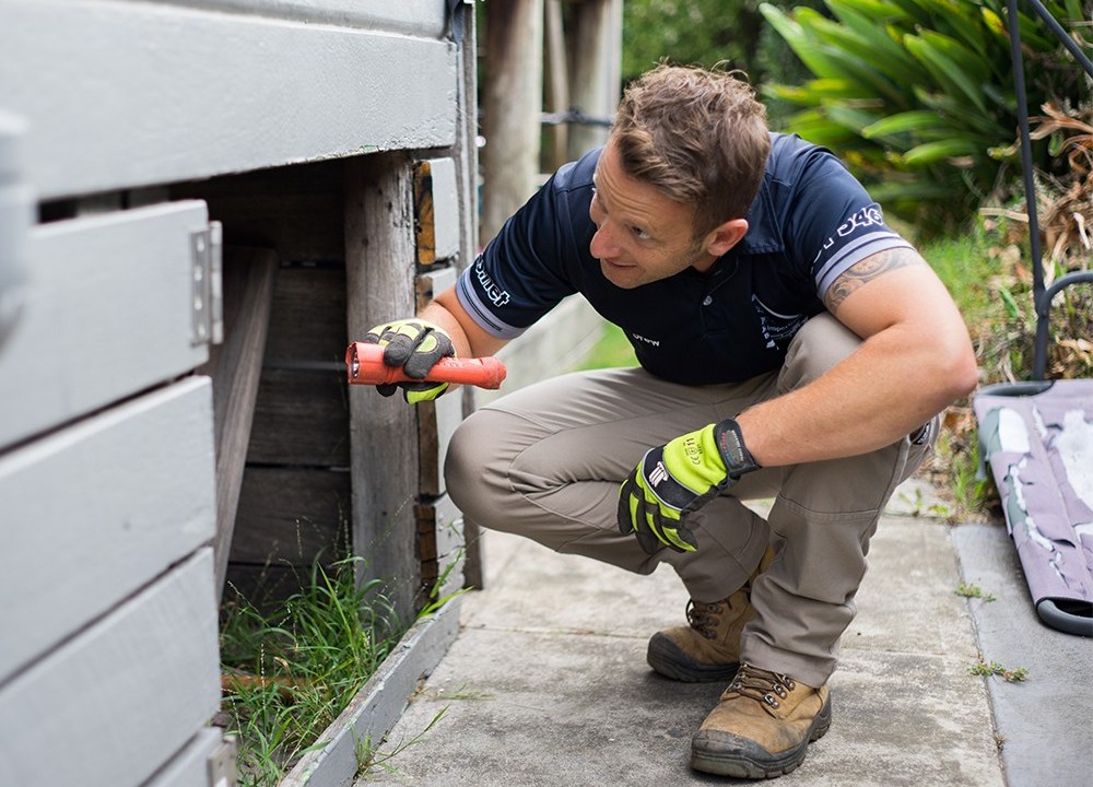 DIY vs. Professional building inspections – Which is the right choice for you?