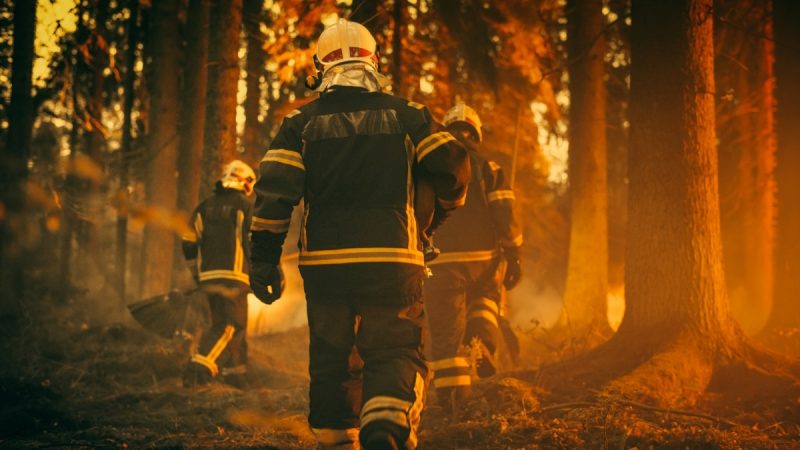 Preparing Your Site for a Bushfire Assessment Visit
